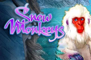 Snow Monkeys