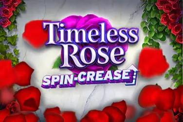 Timeless Rose