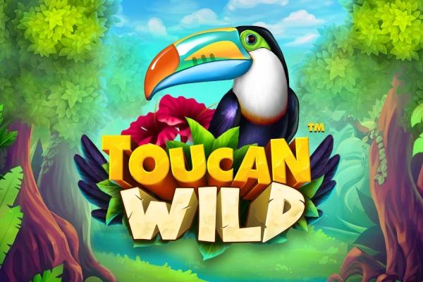 Toucan Wild