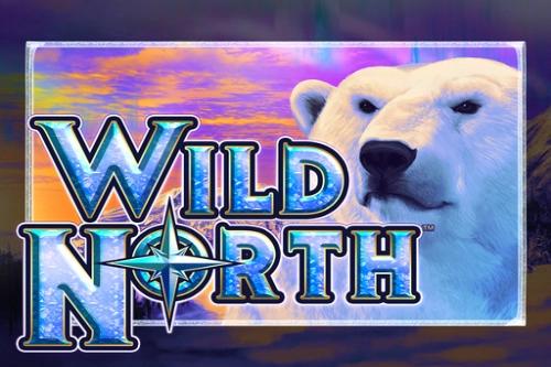 Wild North