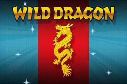 Wild Dragon