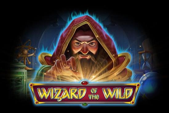 Wizard of the Wild