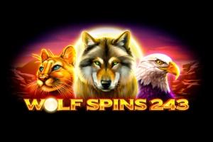 Wolf Spins 243