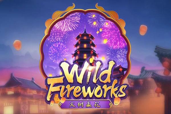 Wild Fireworks