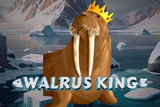 Walrus King