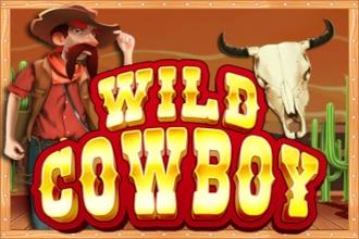 Wild Cowboy