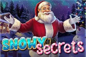 Snowy Secrets