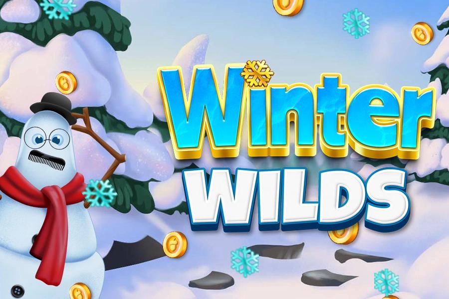 Winter Wilds