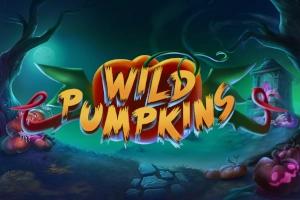 Wild Pumpkins