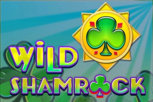 Wild Shamrock