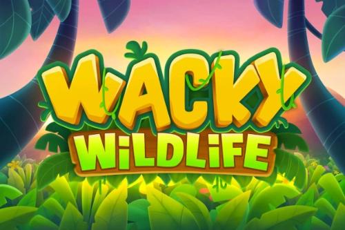 Wacky Wildlife