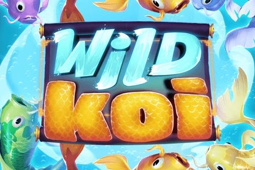 Wild Koi