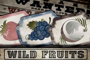 Wild Fruits