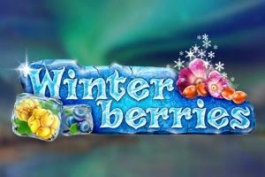 Winterberries