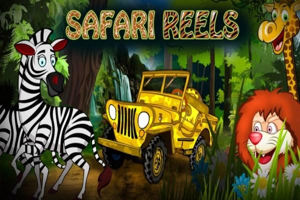 Safari Reels